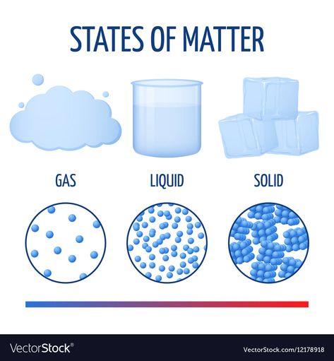 Solid Liquid Gas, Matter Worksheets, Matter Science, Environmental Studies, States Of Matter, Diagram Design, For You, Best Templates, Infographic Templates