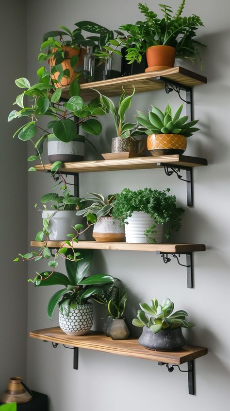 Plant Shelf Design Ideas - Remodr Floating Shelf For Plants, Shelf Design Ideas, Indoor Plant Shelves, Plant Display Ideas, Tanaman Indoor, Hanging Wall Planters, Rustic Wooden Shelves, Geometric Shelves, Garden Shelves