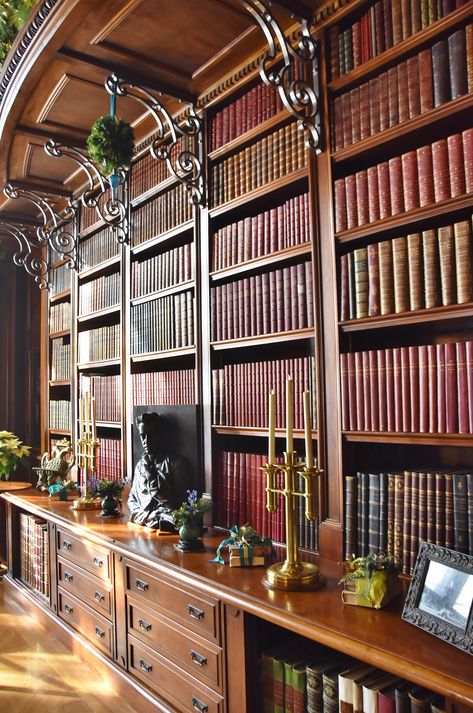 Luxury Home Library Design, Ornate Library, Biltmore Library, Biltmore Estate Library, Old Library Room, Victorian Library Study, Biltmore Interior, Classic Home Library Design, Built In Library