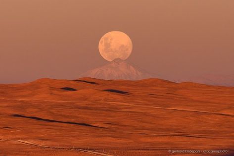 Desert Sand Dunes, Desert Nature, Desert Aesthetic, Atacama Desert, Desert Photography, Desert Mountains, Desert Dream, Desert Vibes, Desert Art