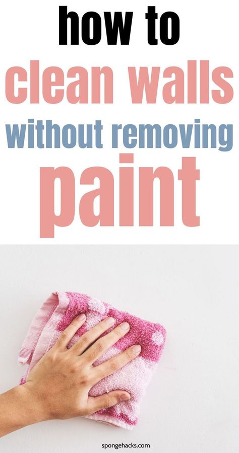 Just painted your walls? Learn how to clean walls without removing paint in 28 ways Washing Painted Walls, Best Ways To Clean Walls, Clean Walls Without Removing Paint, How To Clean Textured Walls, How To Clean Walls Without Ruining Paint, How To Clean Walls, Best Way To Clean Walls, Clean Walls, Cleaning White Walls