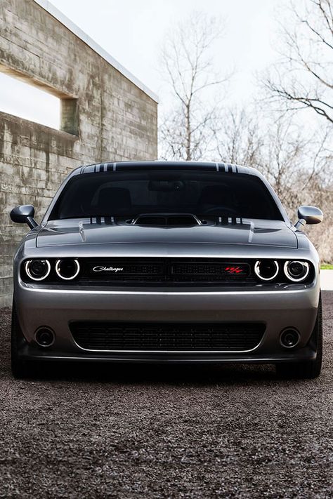 fullthrottleauto: “Dodge Challenger (by daveleck) (#FTA) ” Mini Cooper Cabriolet, Mercedes Auto, Aventador Lamborghini, Bmw Concept, Dodge Rams, Sweet Cars, American Muscle Cars, Dodge Ram 1500