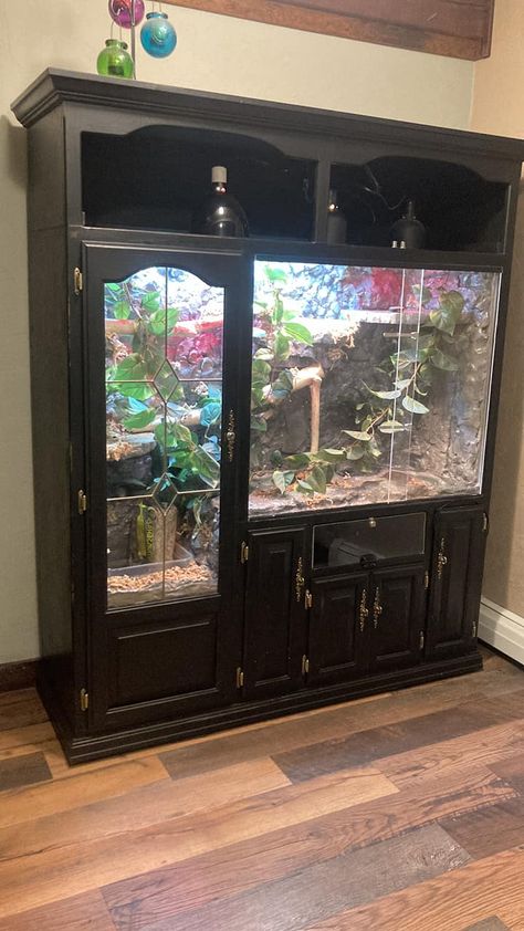 DIY Reptile Enclosures Reptile Enclosure Stand, Homemade Reptile Enclosure, Custom Reptile Enclosure, Custom Snake Enclosures, Goth Snake Enclosure, Diy Snake Enclosure How To Build, Diy Bearded Dragon Enclosure How To Build, Burmese Python Enclosure, Diy Lizard Enclosure