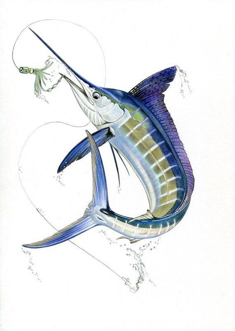 Marlin Tattoo, Fishing Illustration, Blue Marlin Fish, White Marlin, Tarpon Fishing, Marlin Fish, Fishing Art, Fish Artwork, Blue Marlin