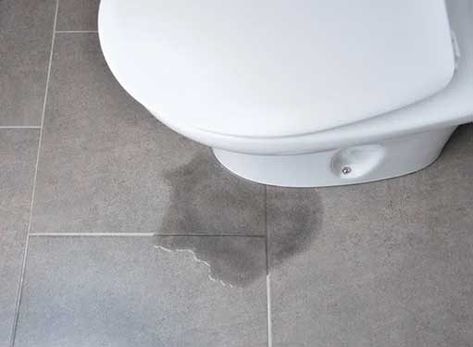 Troubleshooting Guide: What to do when your toilet is leaking from the base Toilet Leaking Around Base, Outdoor Faucet Repair, French Drain Installation, Rough In Plumbing, Leaky Toilet, Leaking Toilet, Water Heater Installation, Toilet Repair, Pipe Repair