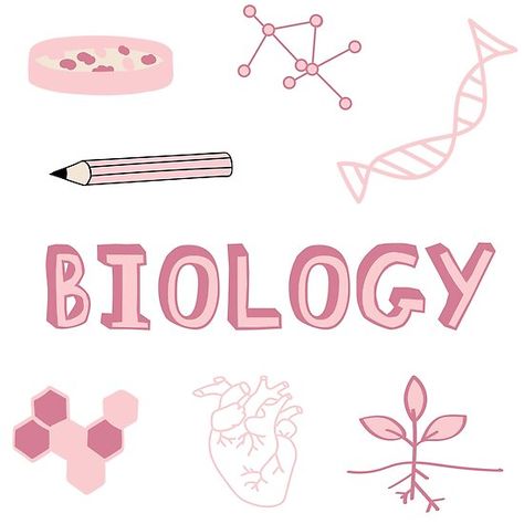 Pink Subject Pack. Perfect gift for anyone heading back to College! Check out my portfolio for all the individual subject versions as I roll them out. Petri dish experiment, pencil, calls, DNA Helix, molecule, atoms, photosynthesis and heart. • Millions of unique designs by independent artists. Find your thing. Biology Notes Cover, Pink Biology Aesthetic, Notes Cover Page, Biology Cover Page Design, Biology Notes Aesthetic, Sampul Binder, Pink Science, Biology Aesthetic, School Binder Covers