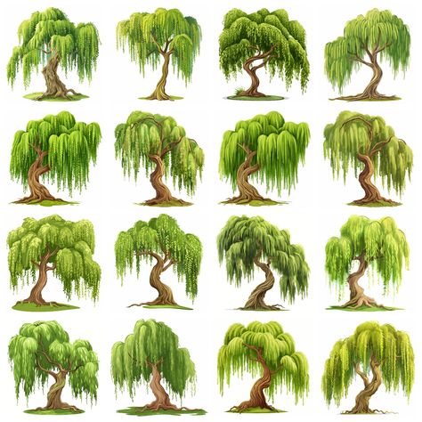 Willow Tree Illustration, Willow Tree Design, Willow Illustration, Willow Tree Concept Art, Weeping Willow Sketch, Weeping Willow Tree Watercolor, Weeping Willow Tree Illustration, Fantasy Weeping Willow Tree, Planting Layout