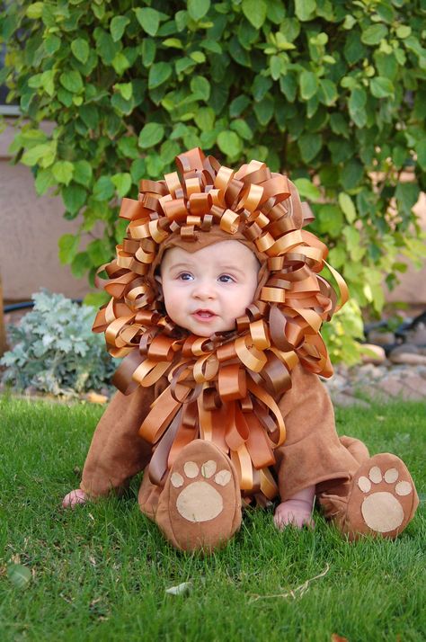 Roar!!!!!  Homemade Lion Costume! Homemade Lion Costume Kids, Lion Toddler Costume, Diy Lion Costume, Tutu Costumes Diy, Sorority Halloween Costumes, Lion Costume Diy, Baby Lion Costume, Frankenstein Makeup, Animal Costumes For Kids