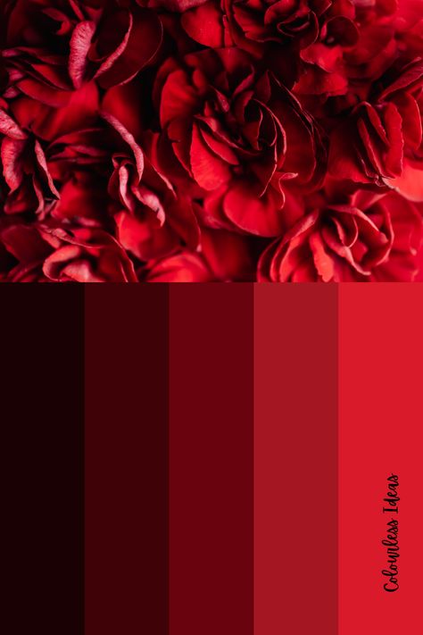 Red Velvet Colour Palette, Red Jewel Tone Color Palette, Ruby Color Palette, Dark Red Color Palette, Jewel Tone Color Palette, Color Inspiration Boards, Feminine Color Palette, Bff Quotes Funny, Red Colour Palette