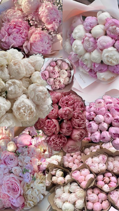 prettiest flower Pink Peonies Aesthetic, Single Peony Flower, Boquette Flowers, Nothing But Flowers, Flower Therapy, Beautiful Bouquet Of Flowers, Luxury Flowers, Summer 24, Flower Aesthetic