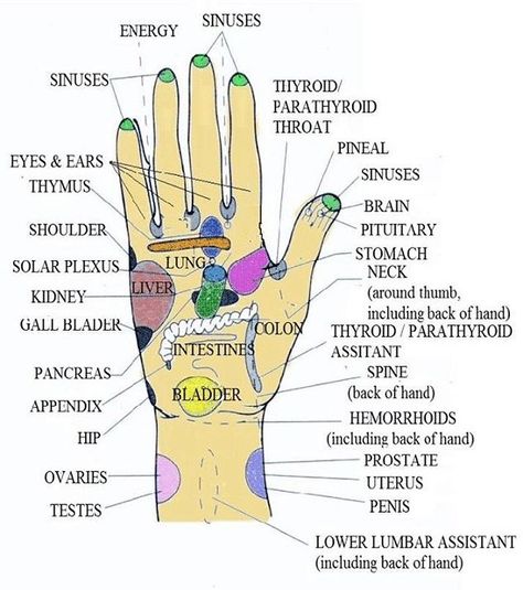 . Acupressure Points Chart, Acupressure Chart, Massage Pressure Points, Ear Reflexology, Reflexology Points, Pressure Point Therapy, Foot Reflexology Massage, Acupressure Therapy, Hand Reflexology