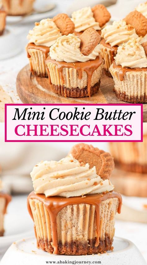 Whipped Cream Topping, Biscoff Cheesecake, Mini Cheesecake Recipes, Biscoff Cookie Butter, Cookie Butter, Cheesecake Desserts, Cheesecake Bites, Mini Cheesecakes, Mind Body And Soul