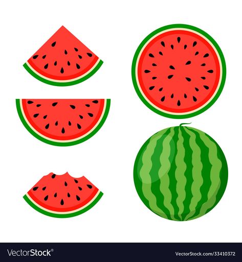 Watermelon Background, Watermelon Drawing, Watermelon Vector, Watermelon Illustration, Watermelon Benefits, Watermelon Decor, Show Da Luna, Watermelon Art, Fruit Icons