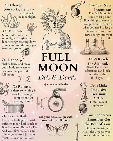 Modern Grimoire, Mystic Girl, Nervus Vagus, Pagan Magic, Moon Magick, Moon Spells, Bubble Bubble, Spiritual Psychology, Moon Rituals