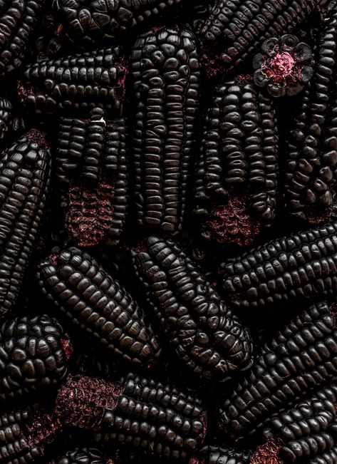 Behance :: For You Obsidian Aesthetic, Black Foods, Color Palets, Black Corn, Dark Food Photography, Black Food, Dark Pictures, Black Image, Dark Photography