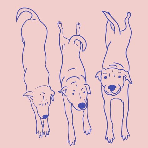 If you don't say biiiiggg stretch what kind of person are you? . . . . #bigstretch #dogartprint #dogstretch #cutedogillustration #petportrait #illustration_daily #cutedogclub #stretching #downwarddog #wallart #smallbusinessuk #smallbusinesssaturday #etsyseller #etsyuk Gym Illustration, Pet Garden, Chinoiserie Art, Dog Club, Dog Print Art, Animals Artwork, Dog Illustration, Animal Sketches, Gold Wallpaper