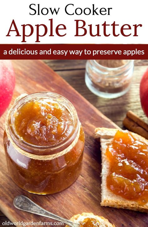 How to make Apple Butter in the Slow Cooker. Spread it on toast, bagels, or use it in tarts to make a delicious dessert. #applebutter #apple #recipes #easy #preserving #canning #freezer #jams #jellies #Fall #dessert #Autumn #breakfast #oldworldgardenfarms Amish Apple Butter Recipe, Make Apple Butter, Homestead Cooking, Homemade Whole Wheat Bread, Apple Butter Crock Pot, Slow Cooker Apple Butter, Apple Butter Recipe, Homemade Apple Butter, Wheat Bread Recipe