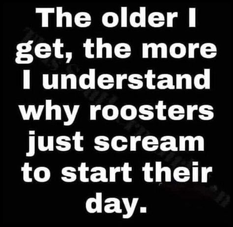 The older I get, the more I understand why roosters just scream to start their day. Locked Out Of House Funny, Silly Sayings, Now Quotes, The Older I Get, Funny Thoughts, Sarcastic Quotes Funny, I Understand, Humor Funny, Work Humor