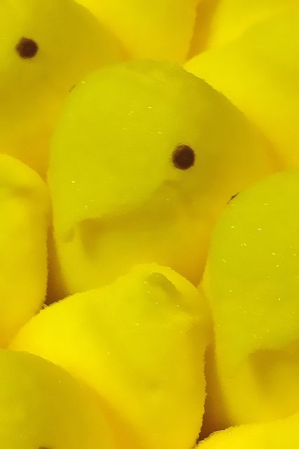 Peeps Aesthetic, Iphone Spring Wallpaper, Unique Farmhouse Decor, Artsy Background, Easter Backgrounds, Screen Savers Wallpapers, Easter Wallpaper, Bunny Wallpaper, Scrapbook Collection