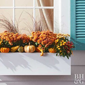 orange fall window box with orange mums and mini pumpkins and gourds Fall Flower Boxes, Fall Window Boxes, Potted Mums, Fall Windows, Fall Container Gardens, Fall Mums, Fall Containers, Window Box Flowers, Fall Planters