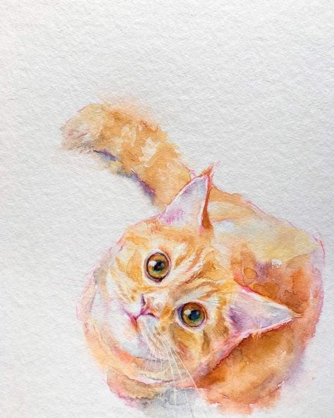 Diy Watercolor Painting, Watercolor Painting Techniques, Watercolor Flower Art, Watercolor Cat, November 2, Watercolor Sketch, Amazing Art Painting, Watercolor Inspiration, Painting Art Projects