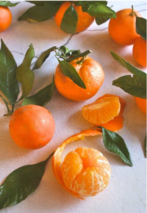 Satsuma-Mandarin-Orange-Scones-2 Mandarin Orange Aesthetic, Tangerines Aesthetics, Cream Scones Recipe, Note Aesthetic, Mandarin Juice, Orange Scones, 2024 Moodboard, Mandarin Oranges, Cream Scones