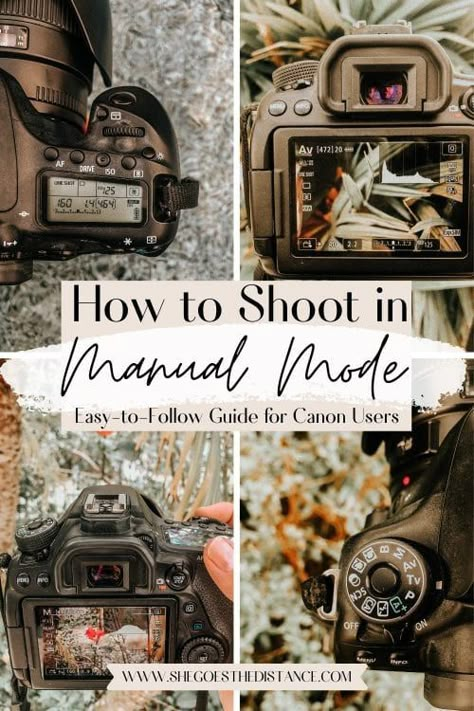 What Is Aperture In Photography, Photo Settings Cheat Sheet, Photography Settings Cheat Sheets Canon, Camera Manual Mode Cheat Sheet, Manual Settings Cheat Sheet, Camera Setting Cheat Sheet, Dslr For Beginners, Canon Camera Settings For Portraits, Iso Shutter Speed Aperture Cheat Sheets