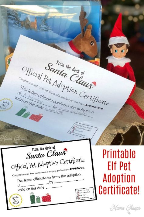 Check out this awesome (and easy!) arrival idea for your introducing your new elf on the shelf PET! Now available are the St. Bernard dog, reindeer and arctic fox. Use our elf pet adoption certificate to make it official!  Easy DIY that you can print in just minutes.   #elfontheshelf #elfideas #printable How To Introduce Elf On The Shelf Reindeer, Introducing New Elf Pet, Introducing Elf On The Shelf Pets, Elf On The Shelf Arrival Ideas With Pet, How To Introduce Elf Pet, Artic Fox Elf Pet Arrival, How To Introduce Elf On The Shelf Pet, Elf Dog Ideas, Elf Pets Reindeer Ideas