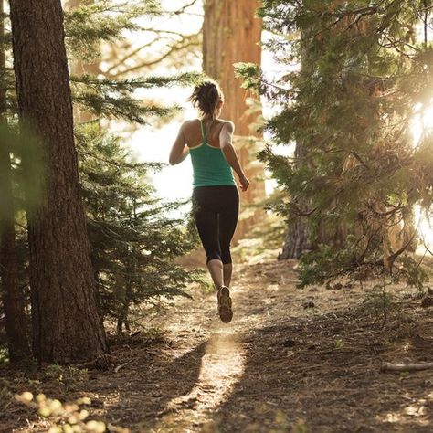 trail run Post Run Stretches, Marathon Training Plan, Outdoor Training, Running Inspiration, Morning Running, Half Marathon Training, Fitness Photography, Running Tips, Boot Camp