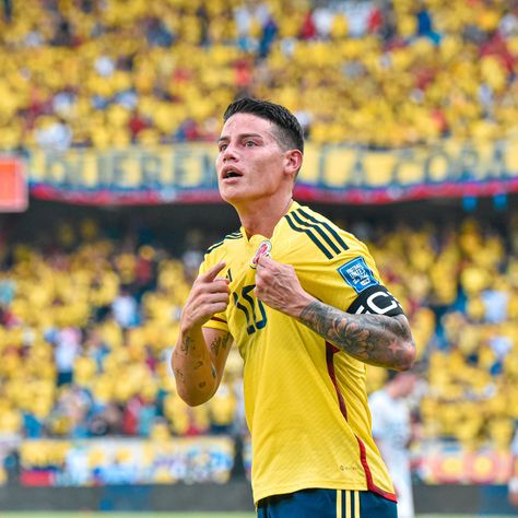 James Rodriguez Real Madrid, James Rodriguez Colombia, James Rodrigues, Soccer Pro, Football Jokes, James 3, James Rodriguez, Soccer Player, Soccer Players