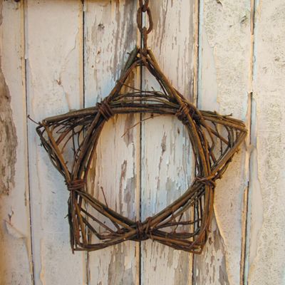 Willow Star, Star Sculpture, Vine Ideas, Willow Furniture, Willow Garden, Willow Wreath, Twig Art, Willow Weaving, Diy Trellis