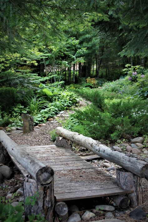 Creek In Backyard, Outdoor Sitting Areas In The Woods, Woods Decorations Ideas, Creek House Ideas, Woods Garden, Woods Pathway, Shed In The Woods, Path In Woods, Forest Landscaping Ideas