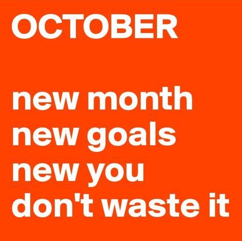 🧡 Pinch Punch it's the first of the month - White Rabbits 🐇🧡  Bye Bye September 🙋‍♀️ - Hello October 😘  🧡 New Month 👊 🧡 New Goals 👌 🧡 New You 👏  Stop Wishing and Start doing !!!   Take Action and Live a Life that You Deserve 🧡  Have a Terrific Tuesday !!!! #newmonth #newgoals #joinme #october October New Month, Bye September, Have A Terrific Tuesday, New Month New Goals, Terrific Tuesday, First Of The Month, Hello October, White Rabbits, New Goals