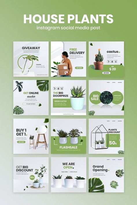 Improve your House Plants Business with fresh and consistent social media design, see the full portfolio, click the link on the title! Newsletter Template Mailchimp, Inmobiliaria Ideas, Instagram Design Layout, Facebook Post Design, Social Media Branding Design, Newsletter Template, Social Media Design Inspiration, Social Media Campaign, Instagram Social Media