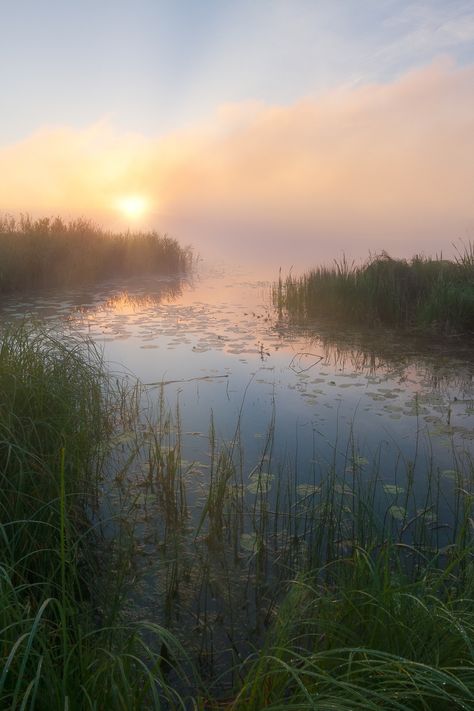 Nature, Misty Spring Morning, Dewy Morning Aesthetic, Morning Fog Aesthetic, Buddha Birth, Fog Sunrise, Fog Aesthetic, Sunrise River, Aesthetic River