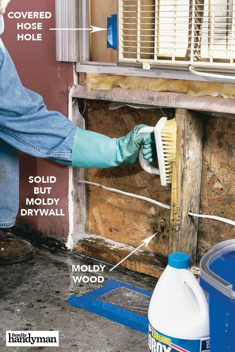 Flooded Basement, Cleaning Mold, Mold Remediation, Mobil Home, Mold Remover, Diy Home Repair, Family Handyman, Home Repairs, Water Damage