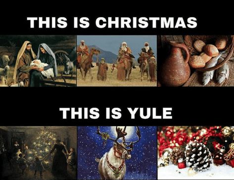 Witch Empath, Witches Crystals, Happy Yule, Yule Winter Solstice, Christmas Meme, Pagan Christmas, This Is Christmas, Anti Religion, Norse Pagan