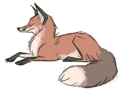 Fox Sketch, Fox Artwork, Fox Drawing, Canine Art, Creature Drawings, Fox Art, Animal Sketches, Arte Animal, Red Fox