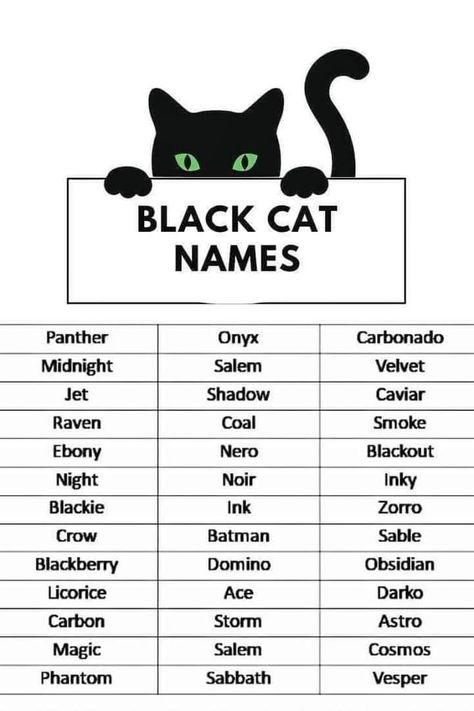 Cat Names Boy, Black Cat Personality, Black Cat Meaning, Witchy Names, Black Cat Names, Cat Knowledge, Cat Symbolism, Warrior Cat Names, Cute Pet Names