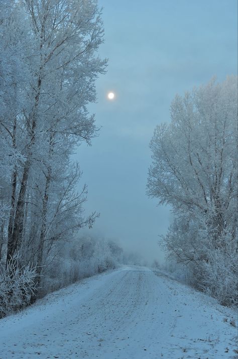 Snowy Road, Moonlit Sky, Moon Images, Bare Tree, Samsung Wallpaper, Winter Scene, Winter Landscape, Screen Wallpaper, Outdoor Photography