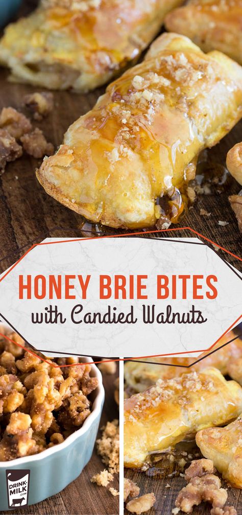 Honey Brie Bites with Candied Walnuts- it's impossible to eat just one! Mini Brie Honey Bites, Honey Brie Bites, Brie Ideas, Appetizers Brie, Honey Brie, Brown Sugar Recipes, Brie Bites, Honey Walnut, Baklava