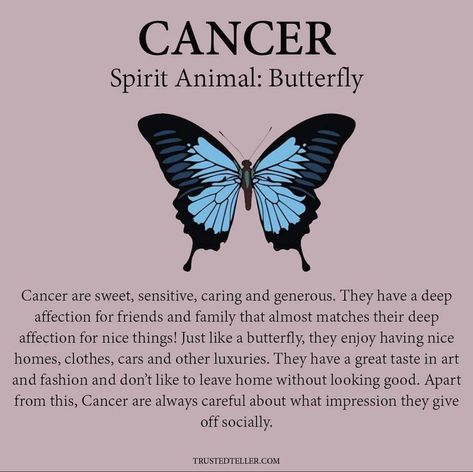 Zodiac Signs Chart, Zodiac Sign Traits, Zodiac Signs Funny, Zodiac Art, Zodiac Sign Facts, Zodiac Quotes, Moon Child, Zodiac Facts, Star Signs