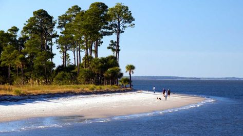 Sunny and serene locales to plant your beach chair for spring break in the south. Avoid the Florida crowds. Travel Outfit Summer Airport, South Carolina Vacation, Chincoteague Island, Photos Bff, South Carolina Travel, Hilton Head Island South Carolina, Spring Break Destinations, South Carolina Beaches, Family Vacation Ideas