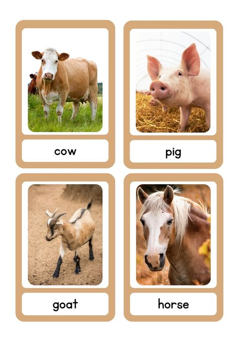 Animal Vocabulary, Farm Animals Pictures, Animal Flashcards, Farm Activities, Flashcards For Kids, Animals Pictures, Collaborative Learning, Letter A Crafts, Flash Art