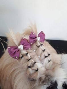 Cute Dog Hairstyles, Dog Hairstyles Shih Tzu, Puppy Hairstyles, Dog Hairstyle, Shih Tzu Hair Styles, Dog Hairstyles, Creative Dog Grooming, Pets Grooming, Yorkie Haircuts