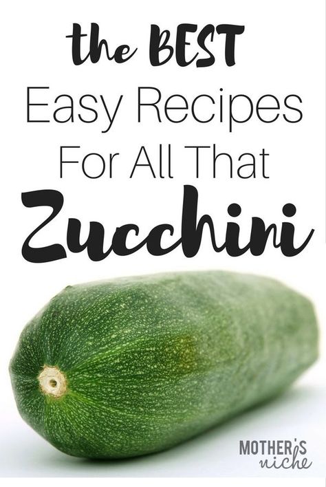 Cooking With Zucchini, What To Do With Really Big Zucchini, Cubed Zucchini Recipe, Large Zucchini Recipes Baking, Sliced Zucchini Recipes Baked, What Can You Make With Zucchini, What To Make With Zucchini Recipes, Overgrown Zucchini Recipe, Unique Zucchini Recipes