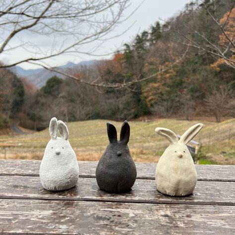 Pottery Bunny Ideas, Ceramic Rabbits Pottery, Easter Ceramics, Pottery Rabbit, Pottery Bunny, Easter Pottery, Ceramic Rabbit, Ceramic Easter, Slab Ceramics