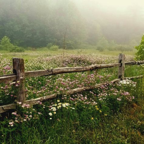 High quality photography print of wild flowers and a fence. Unframed.  FREE STANDARD SHIPPING. Square Format only. Photograph will be printed on  professional grade photo paper with a standard photographic finish. This is an original photograph, I took this photo in Ligonier, Pennsylvania.  Great gift for a flower lover.   SHIPPING AND RETURNS: Your print will be carefully inspected and packed.  Shipping is free in the contiguous United States.  Orders can be shipped internationally and to non-c Quotes Gardening, Seed Flowers, Fence Photography, Gardening Drawing, Gardening Wallpaper, Tools Tattoo, Gardener Aesthetic, Garden Aesthetics, High Quality Photography