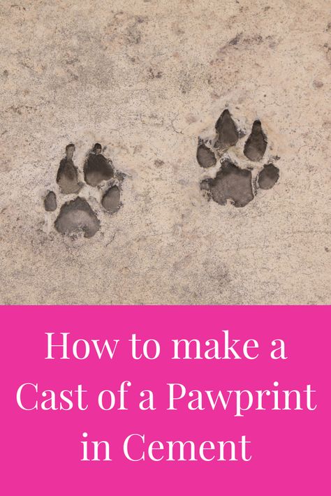 How to make Plaster of Paris Paw Prints; Plaster Paw prints, Plaster of Paris Paw Prints, Diy Plaster Paw Prints, how to make a paw print of your dog, Paw Casting Dog Paw Prints, Paw Prints Art DIY, Paw Prints Keepsake, Paw Prints memorial, Paw Prints Crafts, Paw Prints ideas, Paw print Mold, Paw Prints frame Paw Prints Kit, Pet Art,Pet Craft, Pet Casting + Paw Print Videos, tiny Paw prints. Puppy paw prints DIY dog paw prints Paw print Jewelry Cute dog paw prints Dog Paw Print Craft, Paw Print Crafts, Pet Craft, Dog Balm, Printed Concrete, Prints Ideas, Puppy Paw Prints, Puppy Paw, Diy Plaster