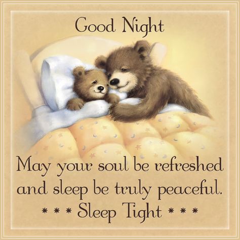 Nighty Night Quotes, Cute Good Night Messages, Beautiful Good Night Messages, Good Night Message, Showing Affection, Teddy Bear Quotes, Good Night Friends Images, Good Night Prayer Quotes, New Good Night Images